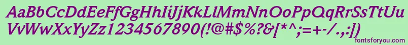 ItcWeidemannLtBoldItalic Font – Purple Fonts on Green Background