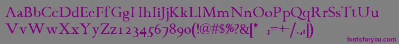 Chanticleer Font – Purple Fonts on Gray Background