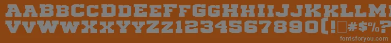 Michigan3 Font – Gray Fonts on Brown Background