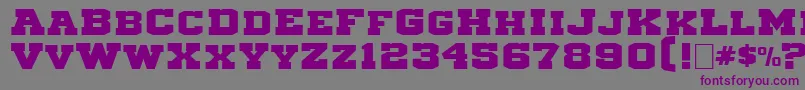 Michigan3 Font – Purple Fonts on Gray Background