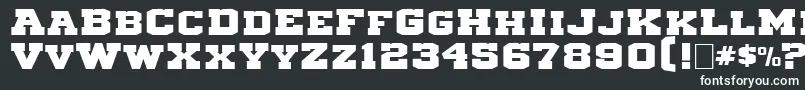 Michigan3 Font – White Fonts