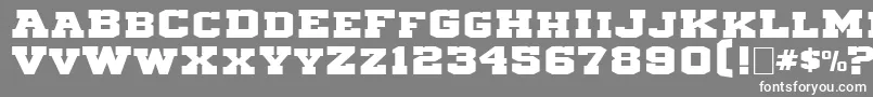 フォントMichigan3 – 灰色の背景に白い文字