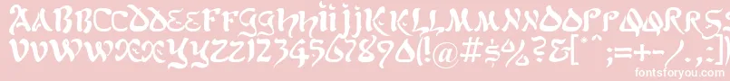 Kohelet Font – White Fonts on Pink Background