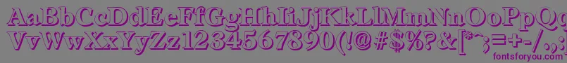 LeamingtonshadowBold-Schriftart – Violette Schriften auf grauem Hintergrund