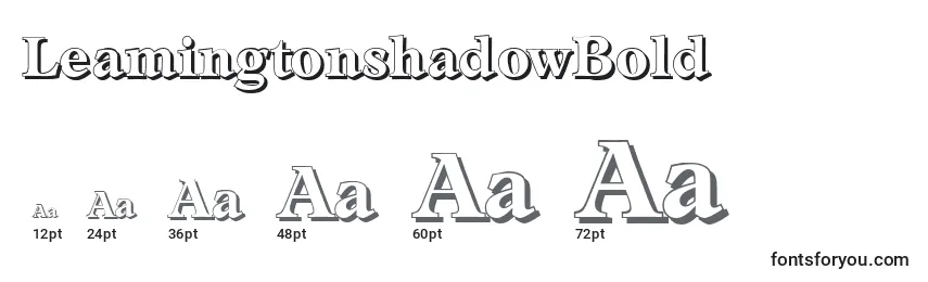 Размеры шрифта LeamingtonshadowBold