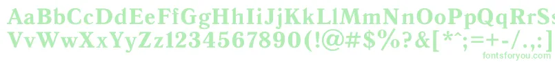 AntiquaBold Font – Green Fonts