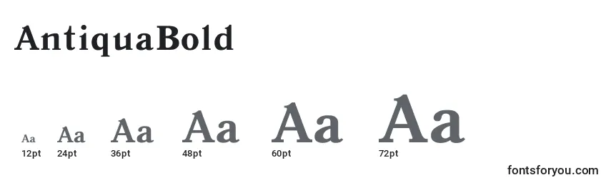 AntiquaBold Font Sizes
