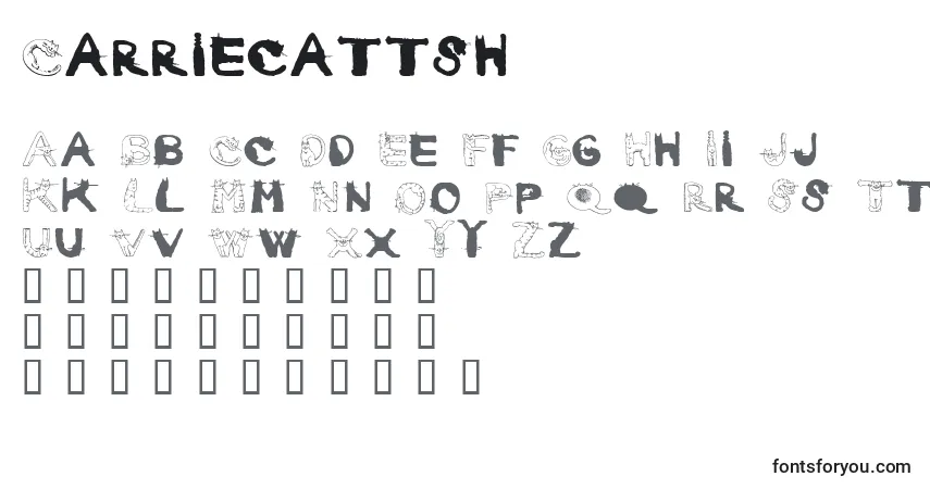 Schriftart Carriecattsh – Alphabet, Zahlen, spezielle Symbole
