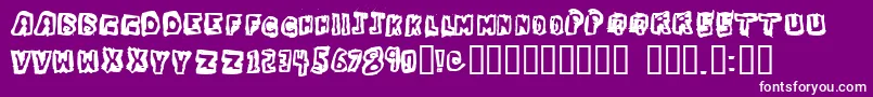 DawgBox Font – White Fonts on Purple Background