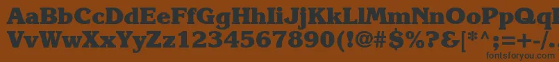 Karlajohnson8Heavysh Font – Black Fonts on Brown Background