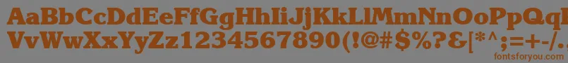 Karlajohnson8Heavysh Font – Brown Fonts on Gray Background