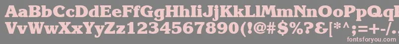 Karlajohnson8Heavysh Font – Pink Fonts on Gray Background