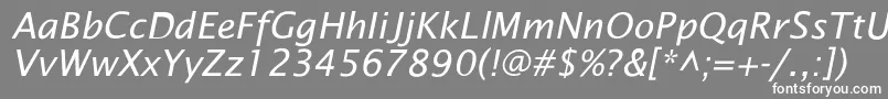 LucidaSansIta Font – White Fonts on Gray Background