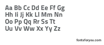Titilliumtext22l999wt Font