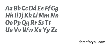 LunasansExtrabolditalic Font