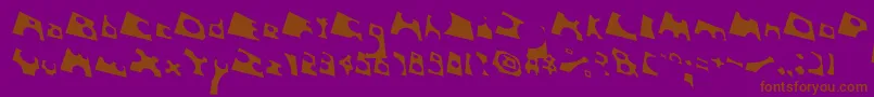 ToolegoFreeflight Font – Brown Fonts on Purple Background