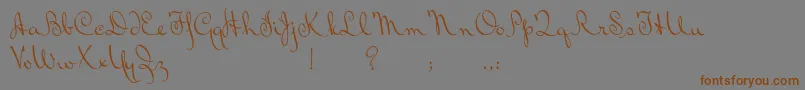 BluelminRalph Font – Brown Fonts on Gray Background