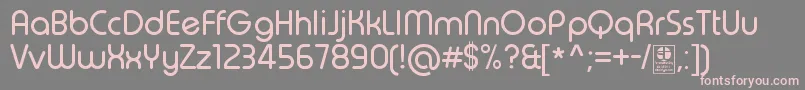 TypoRoundRegularDemo Font – Pink Fonts on Gray Background