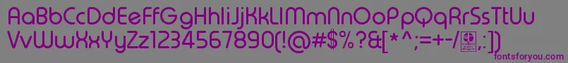 TypoRoundRegularDemo Font – Purple Fonts on Gray Background