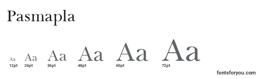 Размеры шрифта Pasmapla