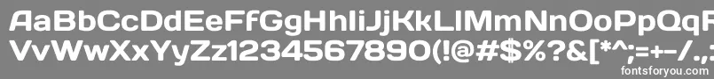 DaysoneRegular Font – White Fonts on Gray Background