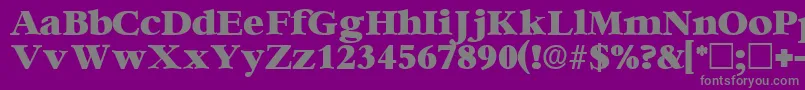 IngenuedisplaysskRegular Font – Gray Fonts on Purple Background