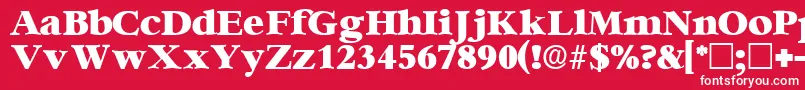 IngenuedisplaysskRegular Font – White Fonts on Red Background