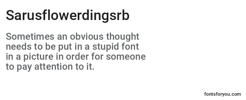 Review of the Sarusflowerdingsrb Font