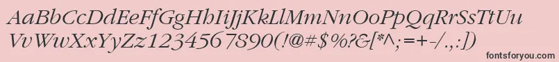 ItcGaramondLtLightItalic Font – Black Fonts on Pink Background