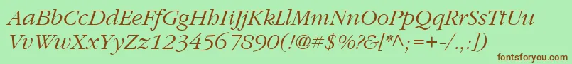 ItcGaramondLtLightItalic Font – Brown Fonts on Green Background