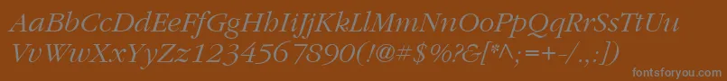 ItcGaramondLtLightItalic Font – Gray Fonts on Brown Background