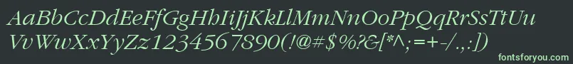 Шрифт ItcGaramondLtLightItalic – зелёные шрифты на чёрном фоне