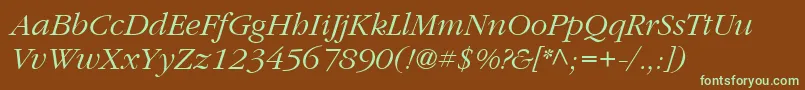 ItcGaramondLtLightItalic Font – Green Fonts on Brown Background