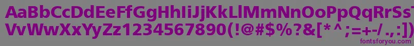 Freesetboldtt-fontti – violetit fontit harmaalla taustalla