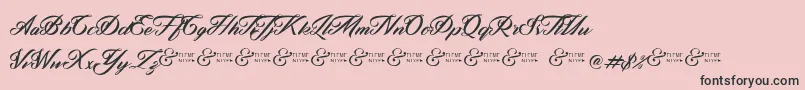 ZephanDemoVer Font – Black Fonts on Pink Background