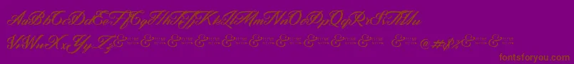 ZephanDemoVer-fontti – ruskeat fontit violetilla taustalla
