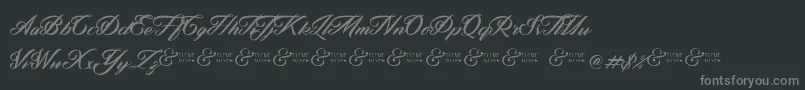 ZephanDemoVer-fontti – harmaat kirjasimet mustalla taustalla