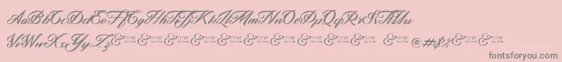 ZephanDemoVer Font – Gray Fonts on Pink Background