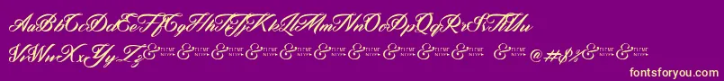 ZephanDemoVer Font – Yellow Fonts on Purple Background