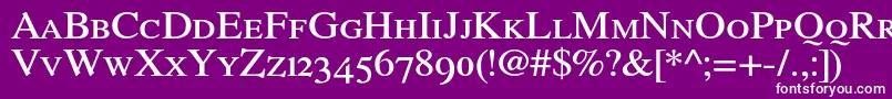 RomandeadfstylestdDemibold Font – White Fonts on Purple Background
