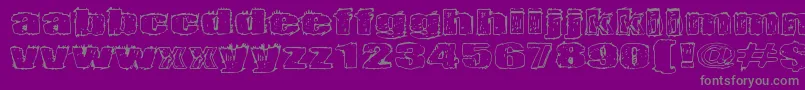 Terrorisoija Font – Gray Fonts on Purple Background