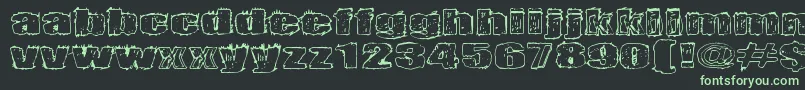 Terrorisoija Font – Green Fonts on Black Background