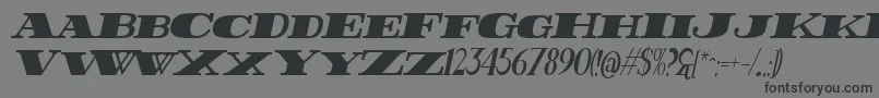 FatestHighItalic Font – Black Fonts on Gray Background