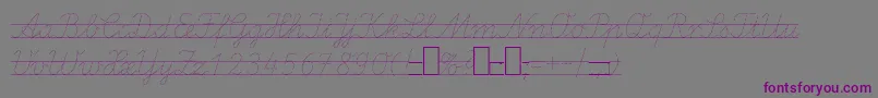 LaEl2Italic Font – Purple Fonts on Gray Background