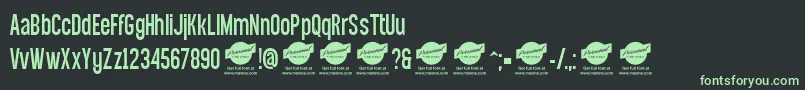 EqualsansDemo Font – Green Fonts on Black Background