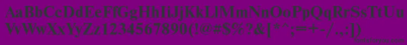 フォントNewtontttBold – 紫の背景に黒い文字