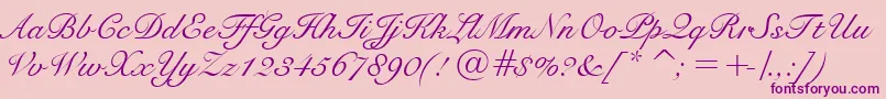 SnellBt Font – Purple Fonts on Pink Background