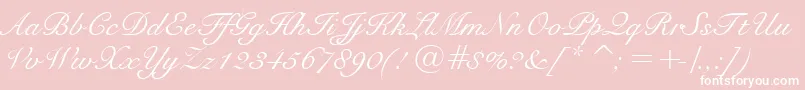 SnellBt Font – White Fonts on Pink Background