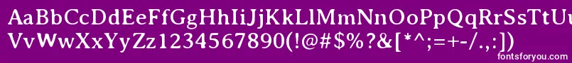 AveriaserifRegular Font – White Fonts on Purple Background