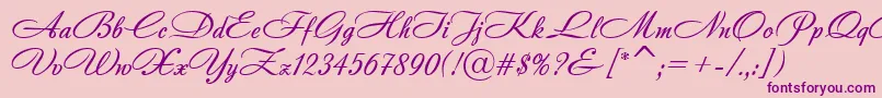 AndantinoScript Font – Purple Fonts on Pink Background